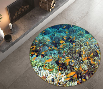 3D Coral Fish 38052 Animal Round Non Slip Rug Mat