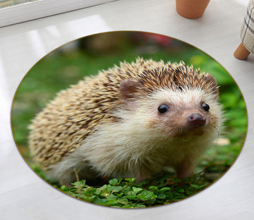 3D Hedgehog 38044 Animal Round Non Slip Rug Mat