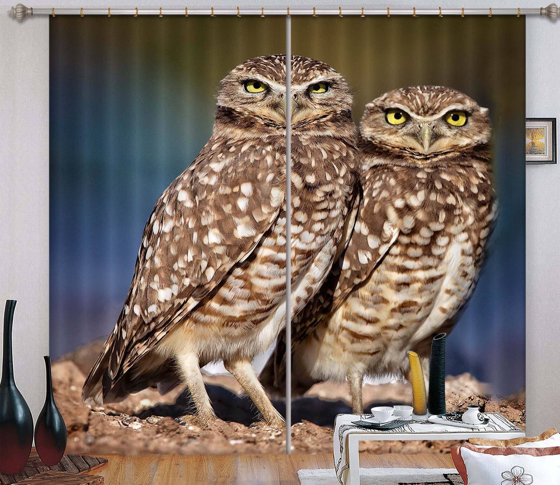 3D Burrowing Owl Buddies 046 Kathy Barefield Curtain Curtains Drapes Curtains AJ Creativity Home 