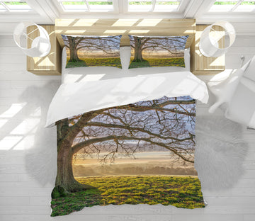 3D Tree Branch 1087 Assaf Frank Bedding Bed Pillowcases Quilt