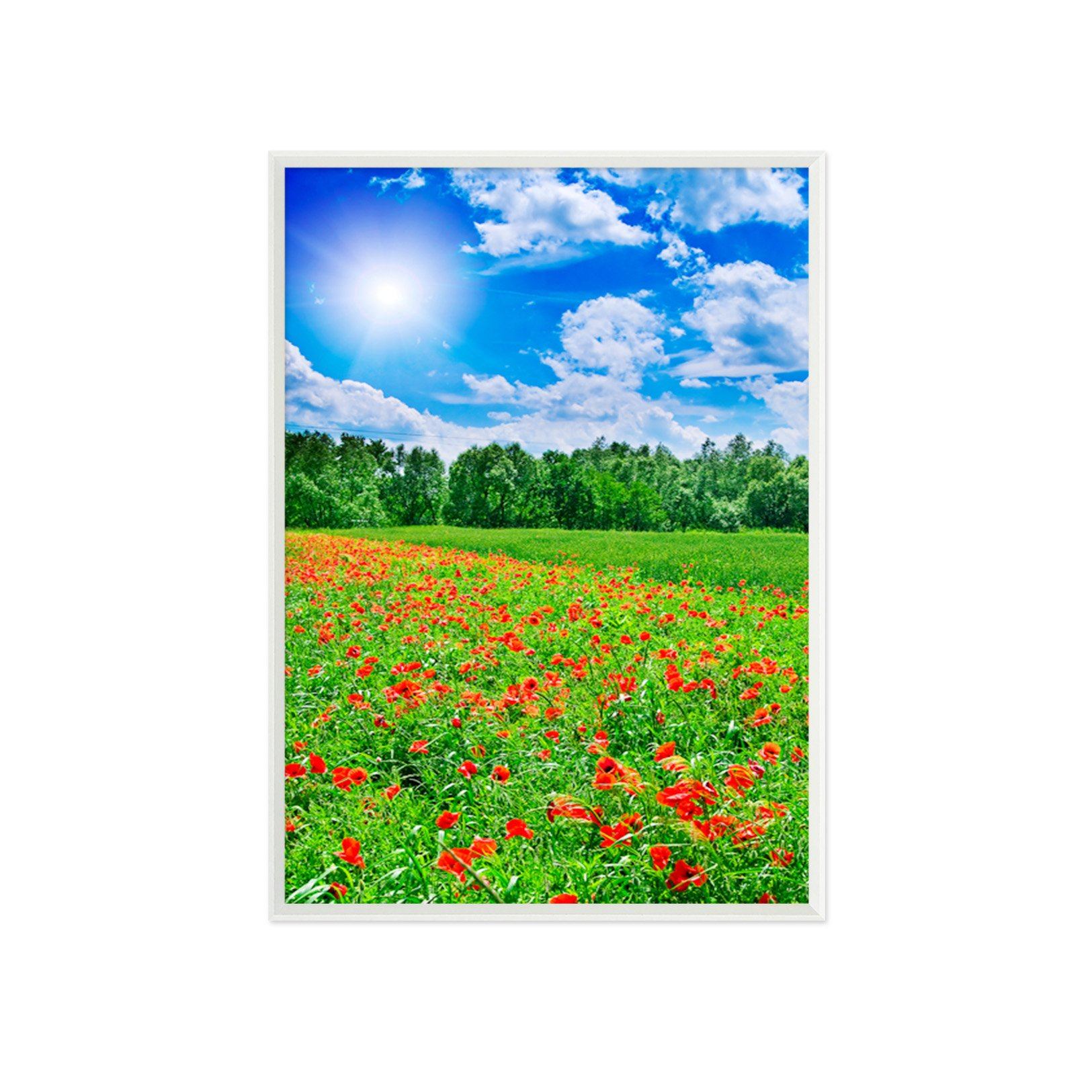 3D Meadow Flowers 045 Fake Framed Print Painting Wallpaper AJ Creativity Home 