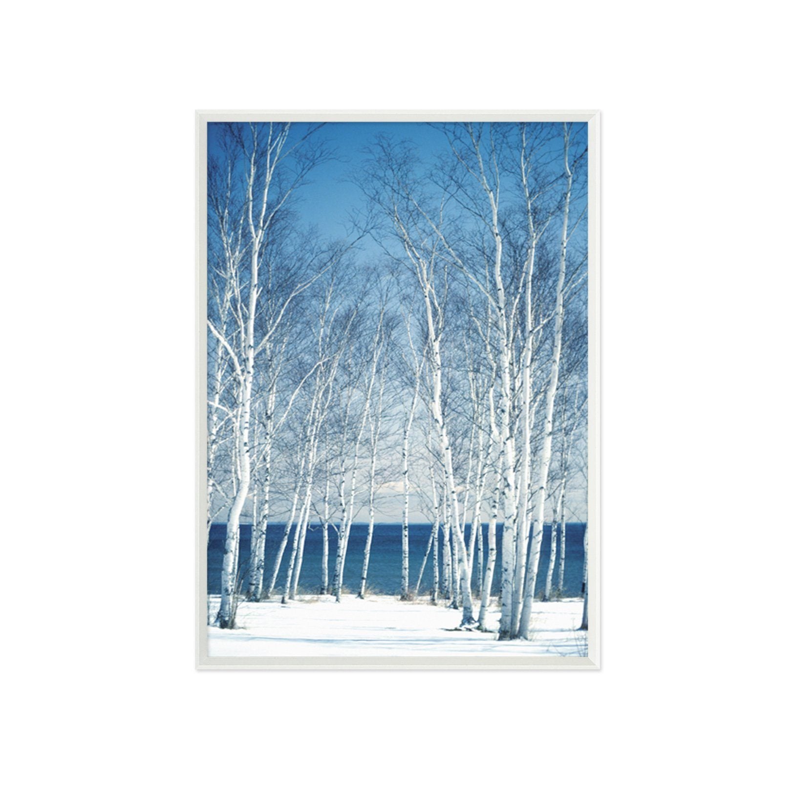 3D Snow Woods 033 Fake Framed Print Painting Wallpaper AJ Creativity Home 