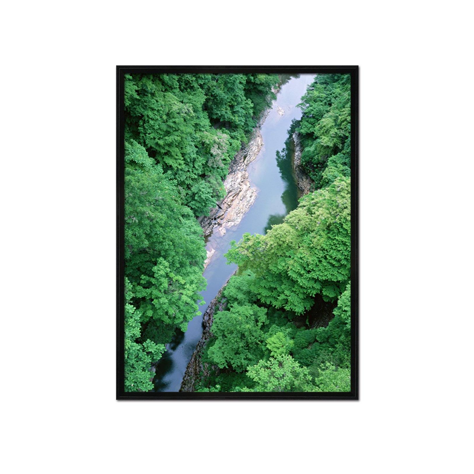 3D Forest River 037 Fake Framed Print Painting Wallpaper AJ Creativity Home 