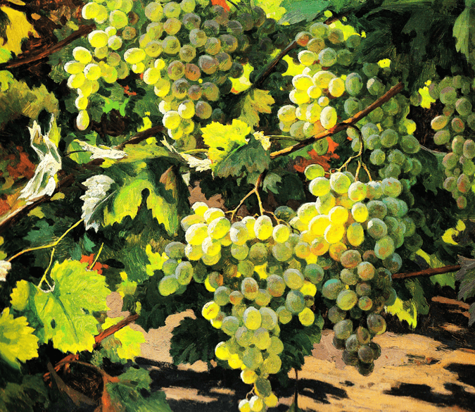 Grape Branches Wallpaper AJ Wallpaper 