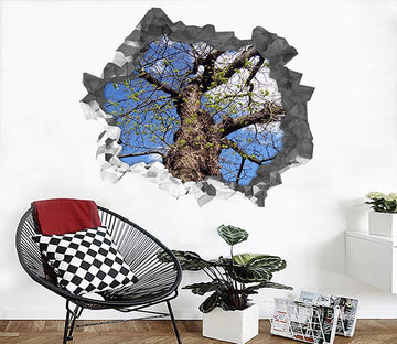 3D Powerful Tree 185 Broken Wall Murals Wallpaper AJ Wallpaper 