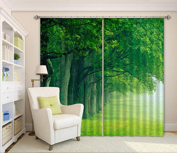 3D Green Trees Rows 212 Curtains Drapes Wallpaper AJ Wallpaper 