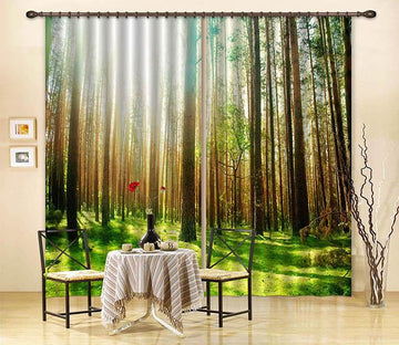 3D Forest Sunshine 177 Curtains Drapes Wallpaper AJ Wallpaper 