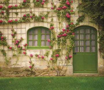 Door Beautiful Plants Wallpaper AJ Wallpaper 