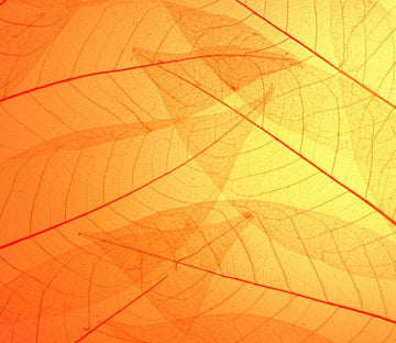 Leaf Veins 2 Wallpaper AJ Wallpaper 