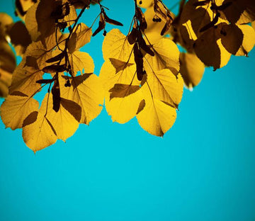 Hanging Leaves Wallpaper AJ Wallpaper 