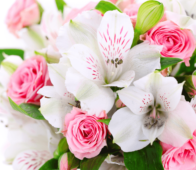 Beautiful Bouquet Wallpaper AJ Wallpaper 