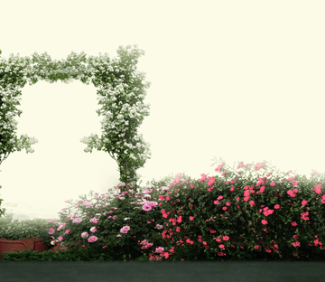 Flowers Arch Door Wallpaper AJ Wallpaper 