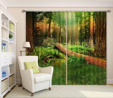 3D Forest Trees 225 Curtains Drapes Wallpaper AJ Wallpaper 