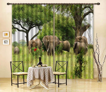 3D Trees Elephants 116 Curtains Drapes Wallpaper AJ Wallpaper 