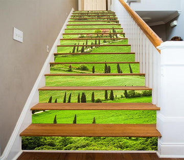 3D Green Grassland 742 Stair Risers Wallpaper AJ Wallpaper 