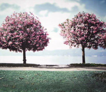 Blooming Trees 7 Wallpaper AJ Wallpaper 