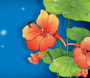 Morning Glories Wallpaper AJ Wallpaper 