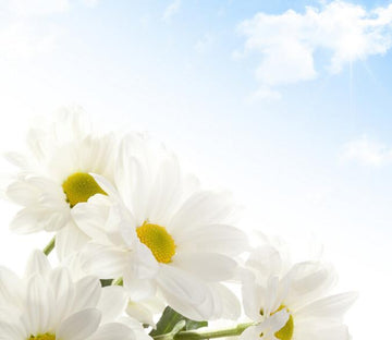 Elegant Flowers 6 Wallpaper AJ Wallpaper 