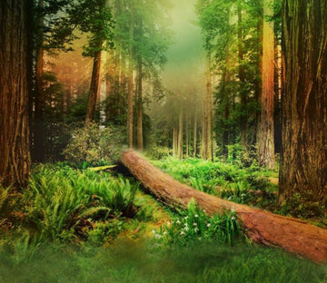 Green Forest 7 Wallpaper AJ Wallpaper 