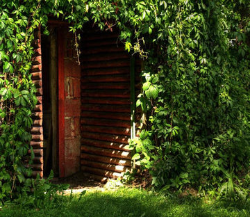 Green Wall Hidden Door Wallpaper AJ Wallpaper 