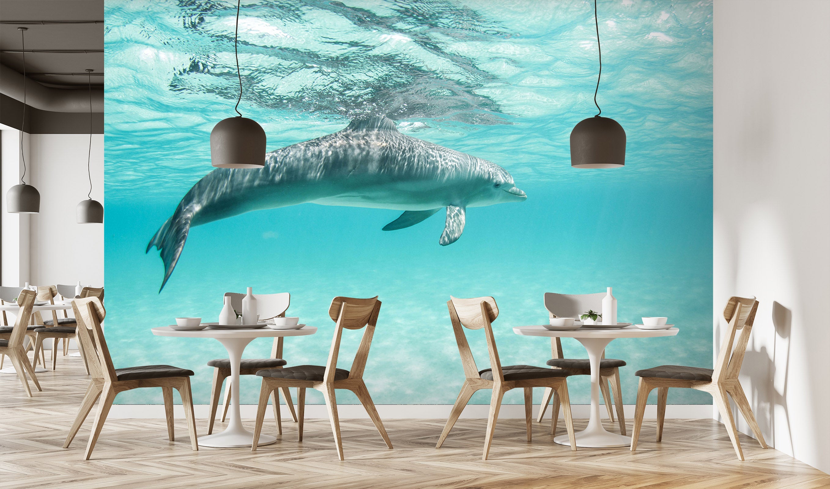 3D Dolphin Leisure 225 Wall Murals