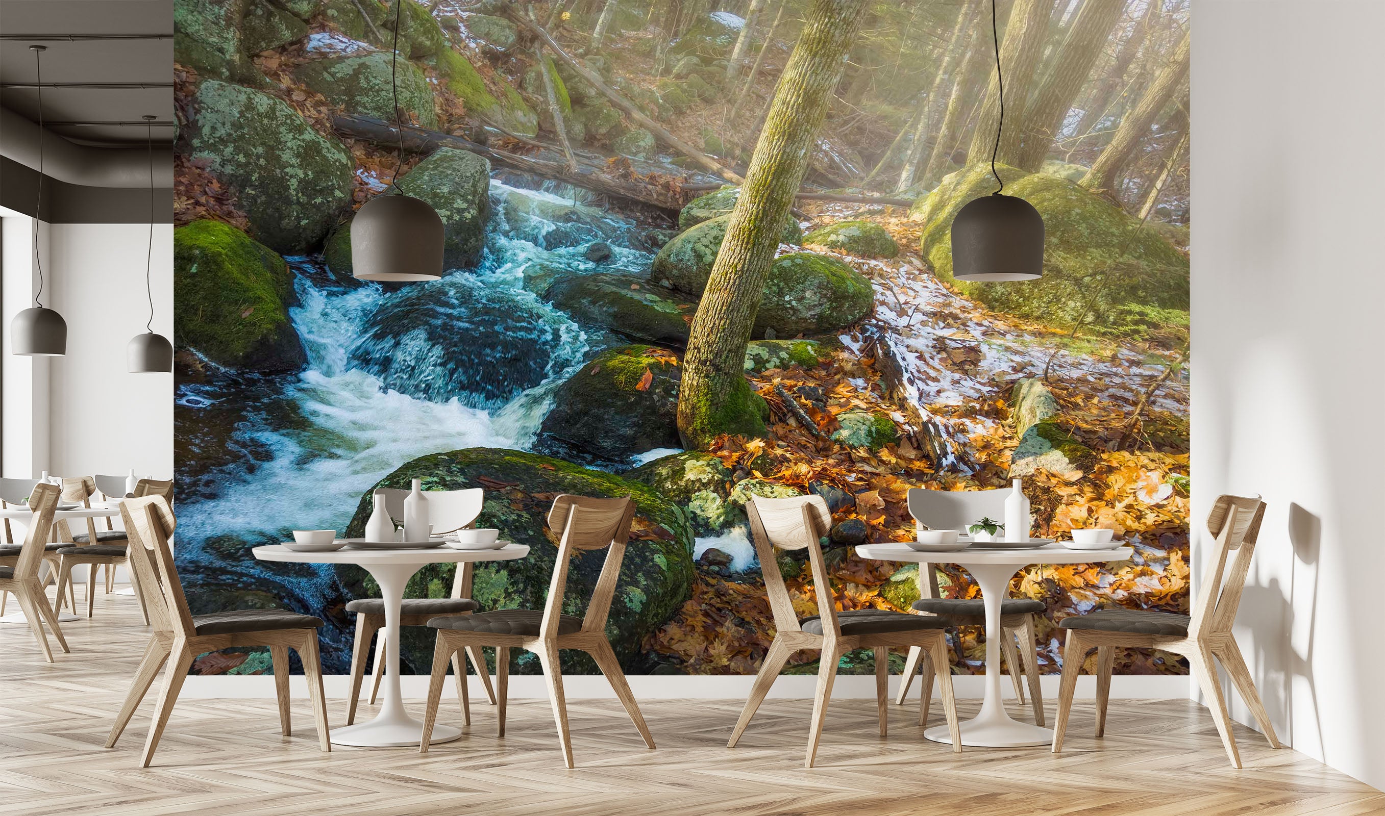 3D Forest Stream 108 Jerry LoFaro Wall Mural Wall Murals