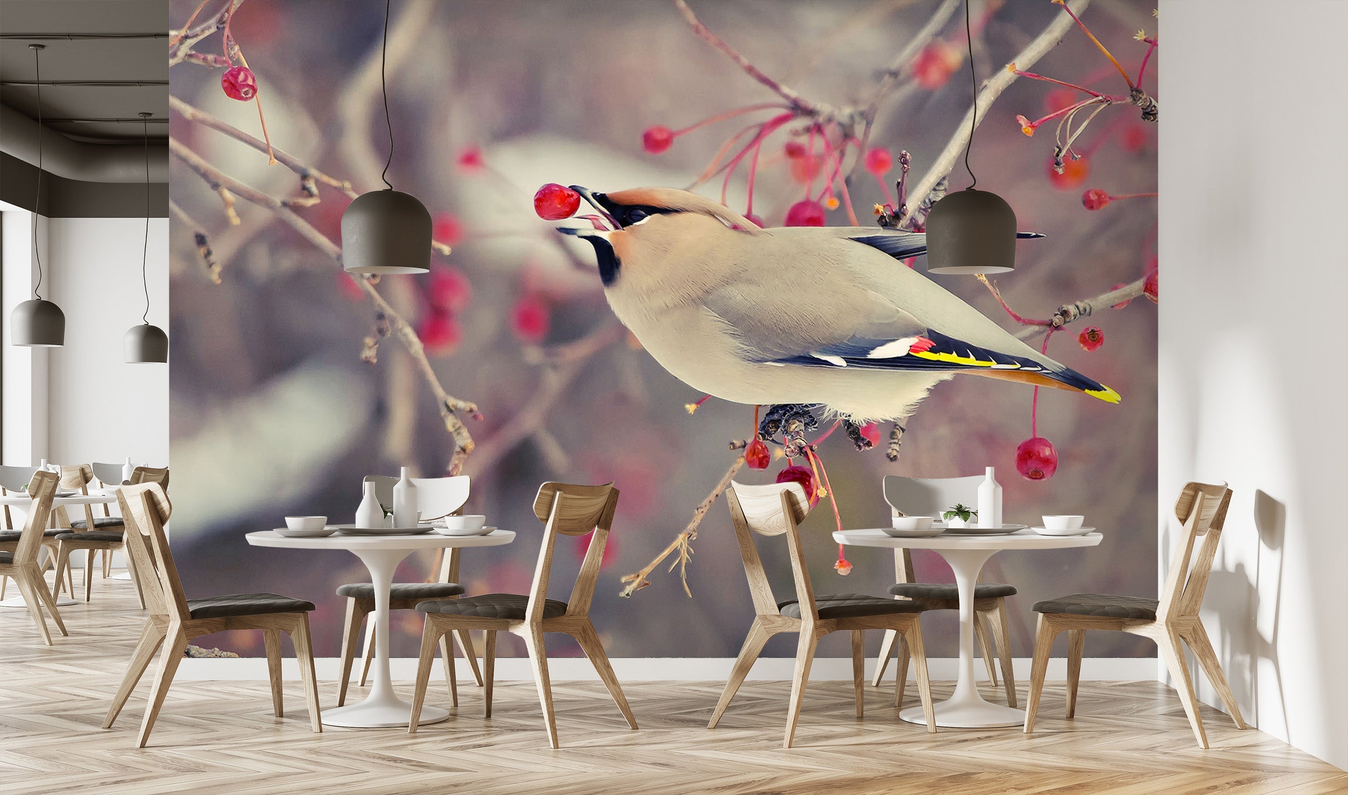 3D Magpie Cherry 231 Wall Murals