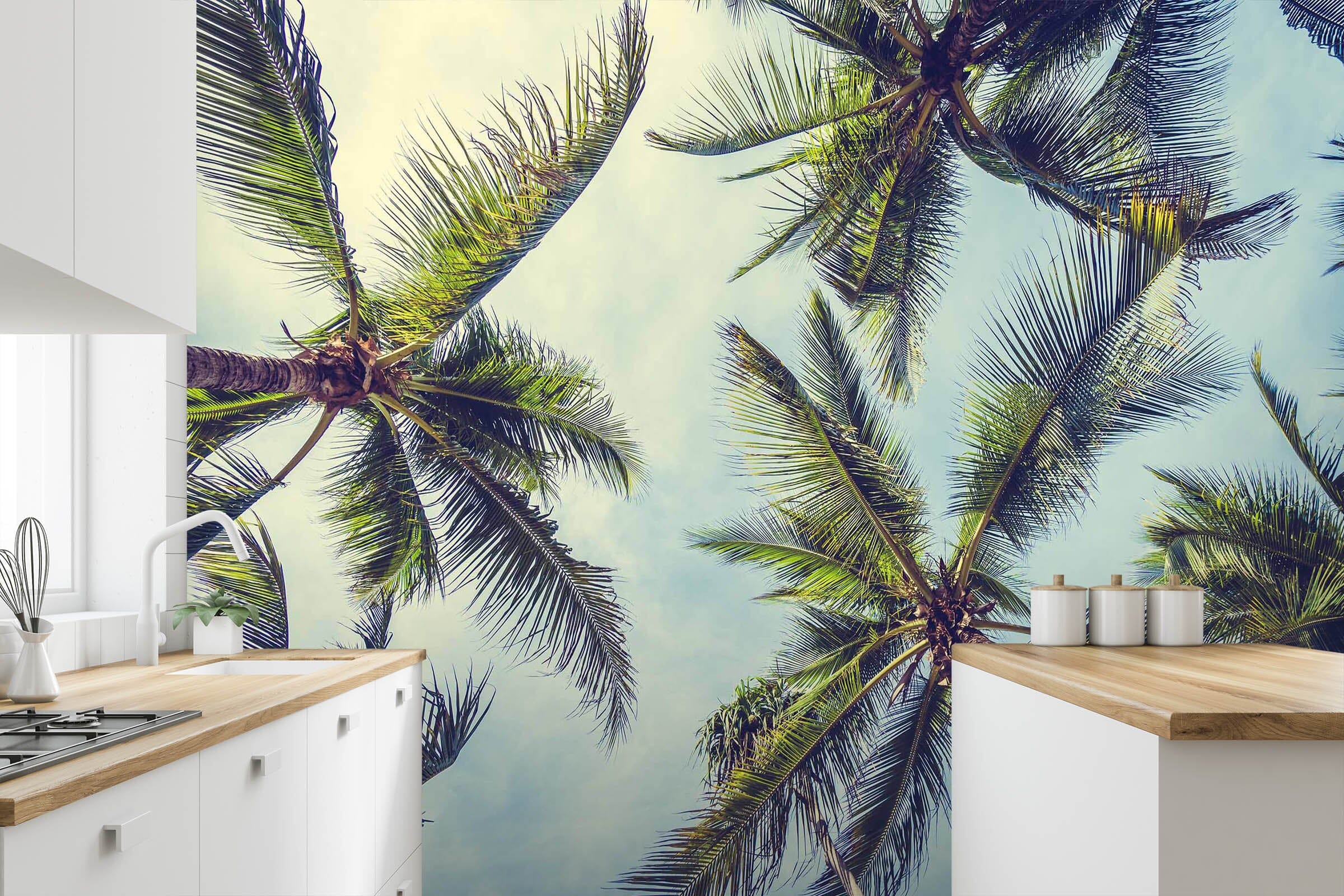 3D Coconut Tree 88 Wall Murals Wallpaper AJ Wallpaper 2 