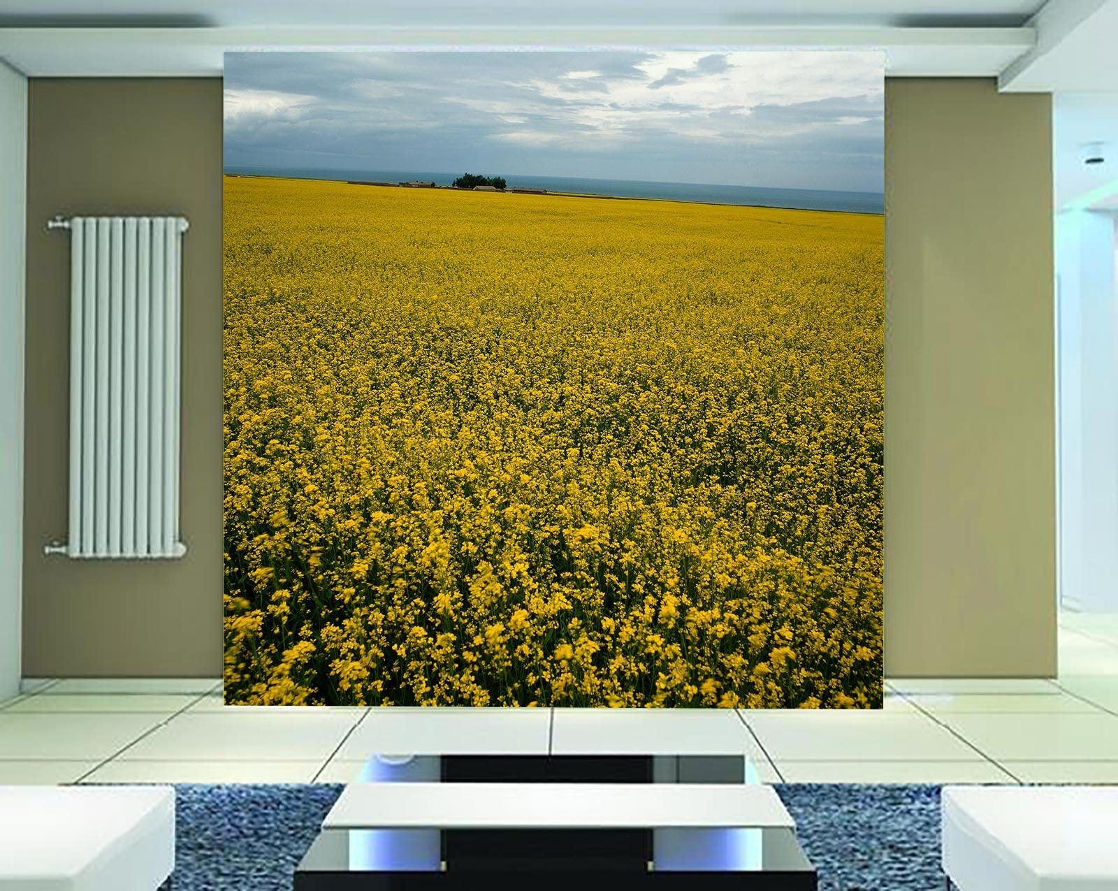 Rape Flower Fields 6 Wallpaper AJ Wallpaper 