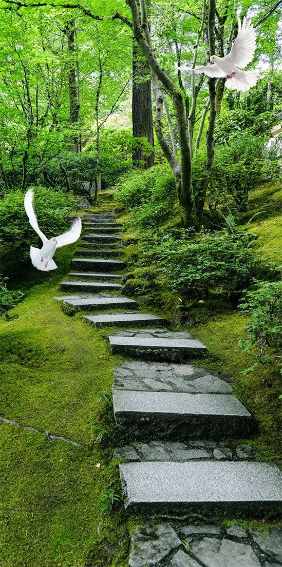 3D forest stone stairs door mural Wallpaper AJ Wallpaper 