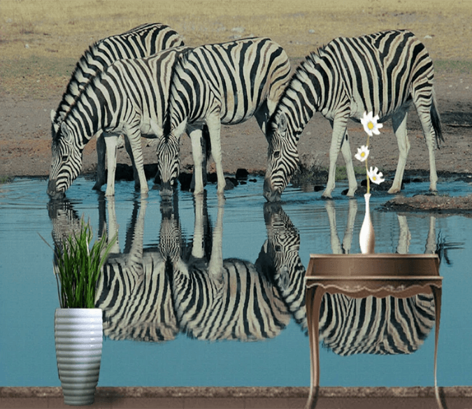 3D Zebra Drinking Water 743 Wallpaper AJ Wallpaper 2 