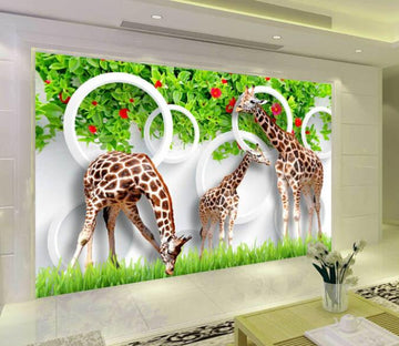 Three Giraffes Wallpaper AJ Wallpaper 2 