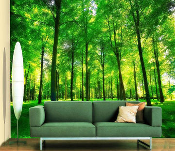 3D Shade Trees 620 Wallpaper AJ Wallpaper 