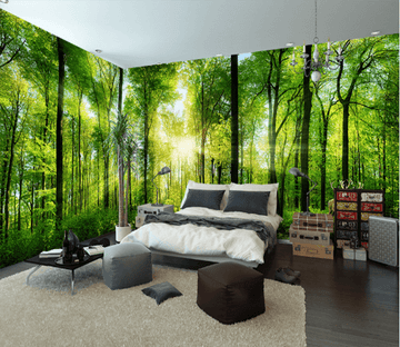 3D Forest Sunshine 472 Wallpaper AJ Wallpaper 