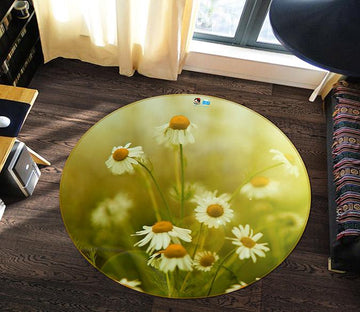 3D Chrysanthemum Field 164 Round Non Slip Rug Mat Mat AJ Creativity Home 