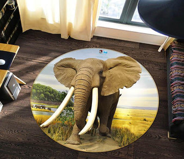 3D Elephant Ivory 008 Round Non Slip Rug Mat Mat AJ Creativity Home 