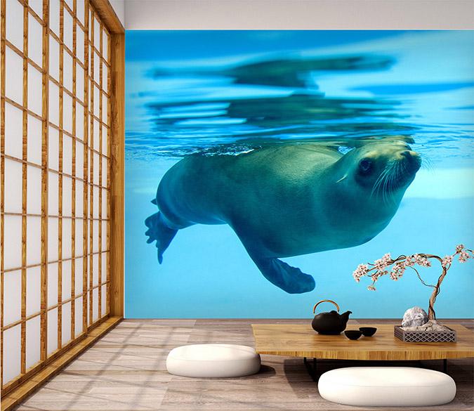 3D Sea Lion 052 Wallpaper AJ Wallpaper 