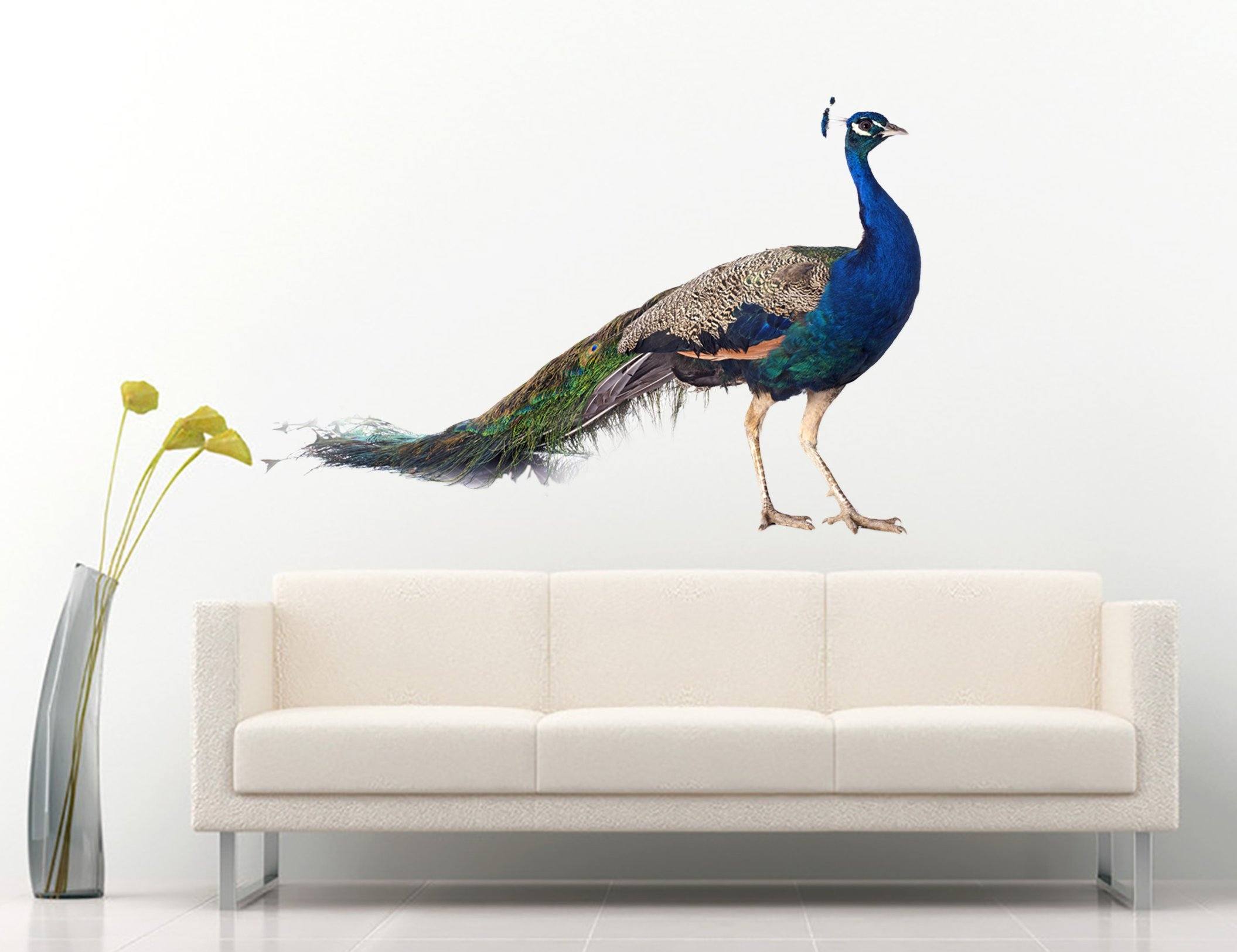 3D Peacock 106 Animals Wall Stickers Wallpaper AJ Wallpaper 