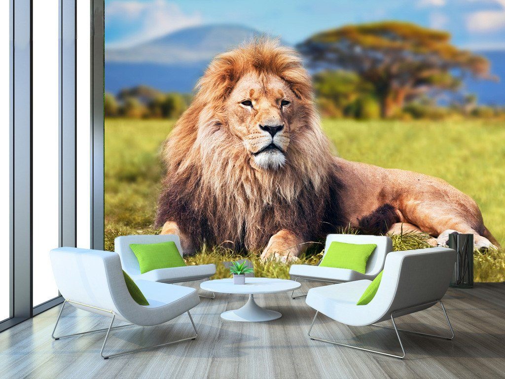 3D Prairie Lion 5 Wallpaper AJ Wallpaper 