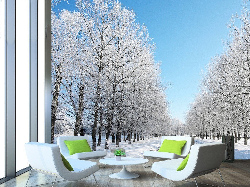 Snowcapped Avenue Wallpaper AJ Wallpaper 