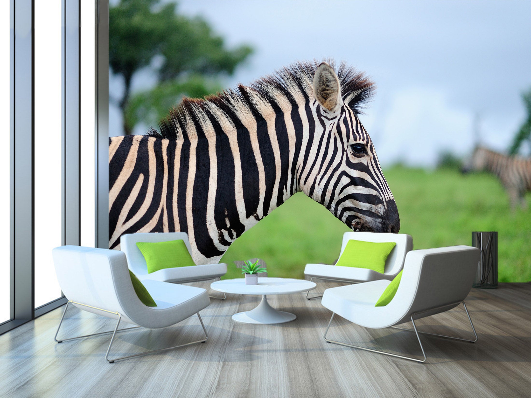 3D Zebra 58069 Wall Murals