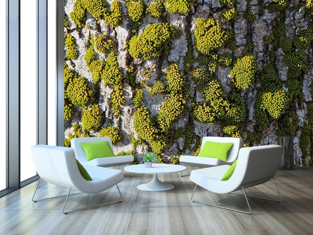 3D Green Trees 729 Wallpaper AJ Wallpaper 