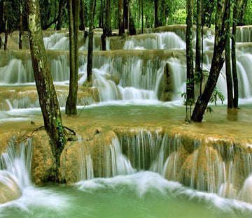 3D Forest Stream 298 Wallpaper AJ Wallpaper 