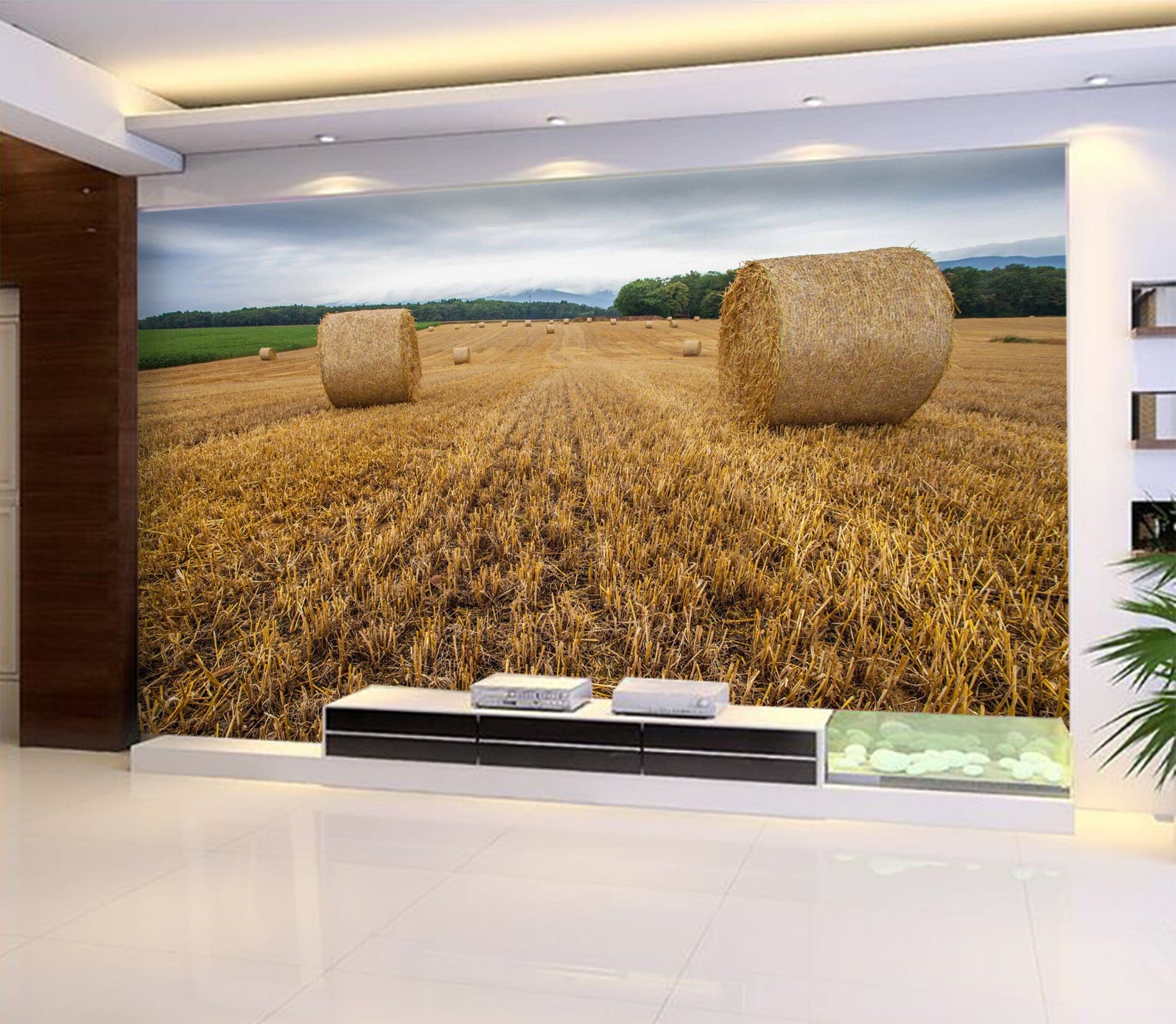 3D Golden Field 1033 Wall Murals Wallpaper AJ Wallpaper 2 