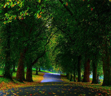 3D Green Forest 821 Wallpaper AJ Wallpaper 