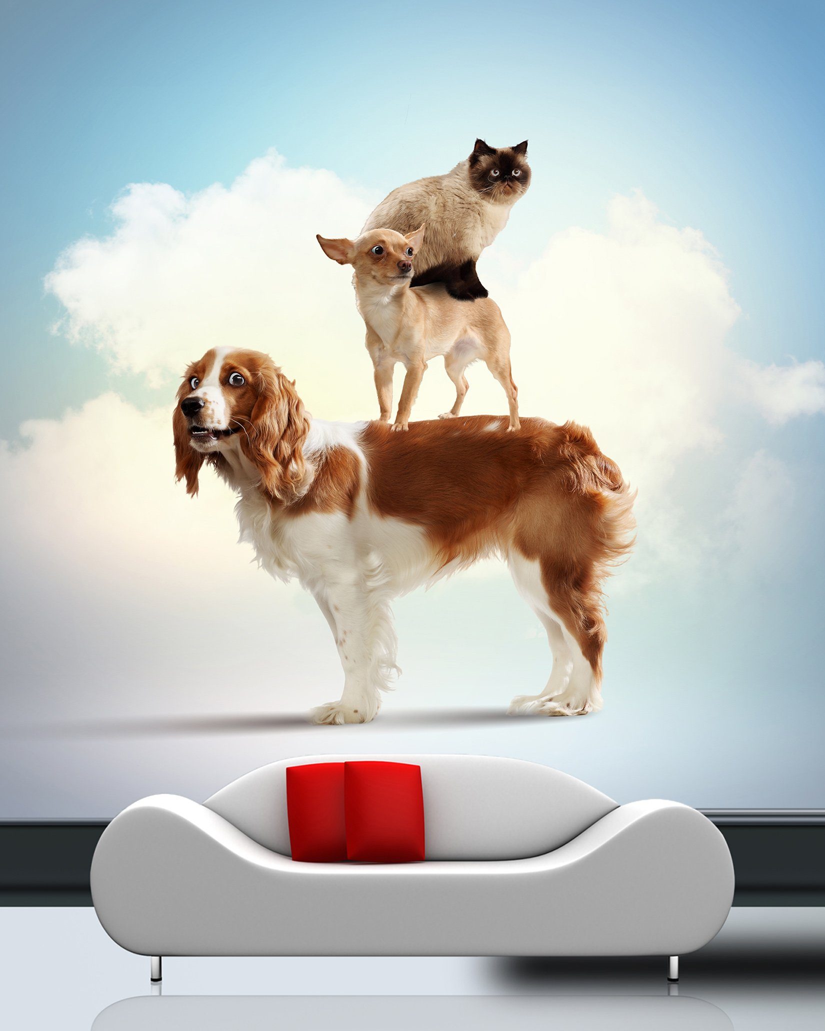 3D Dog Stacking Arhat 041 Wallpaper AJ Wallpaper 