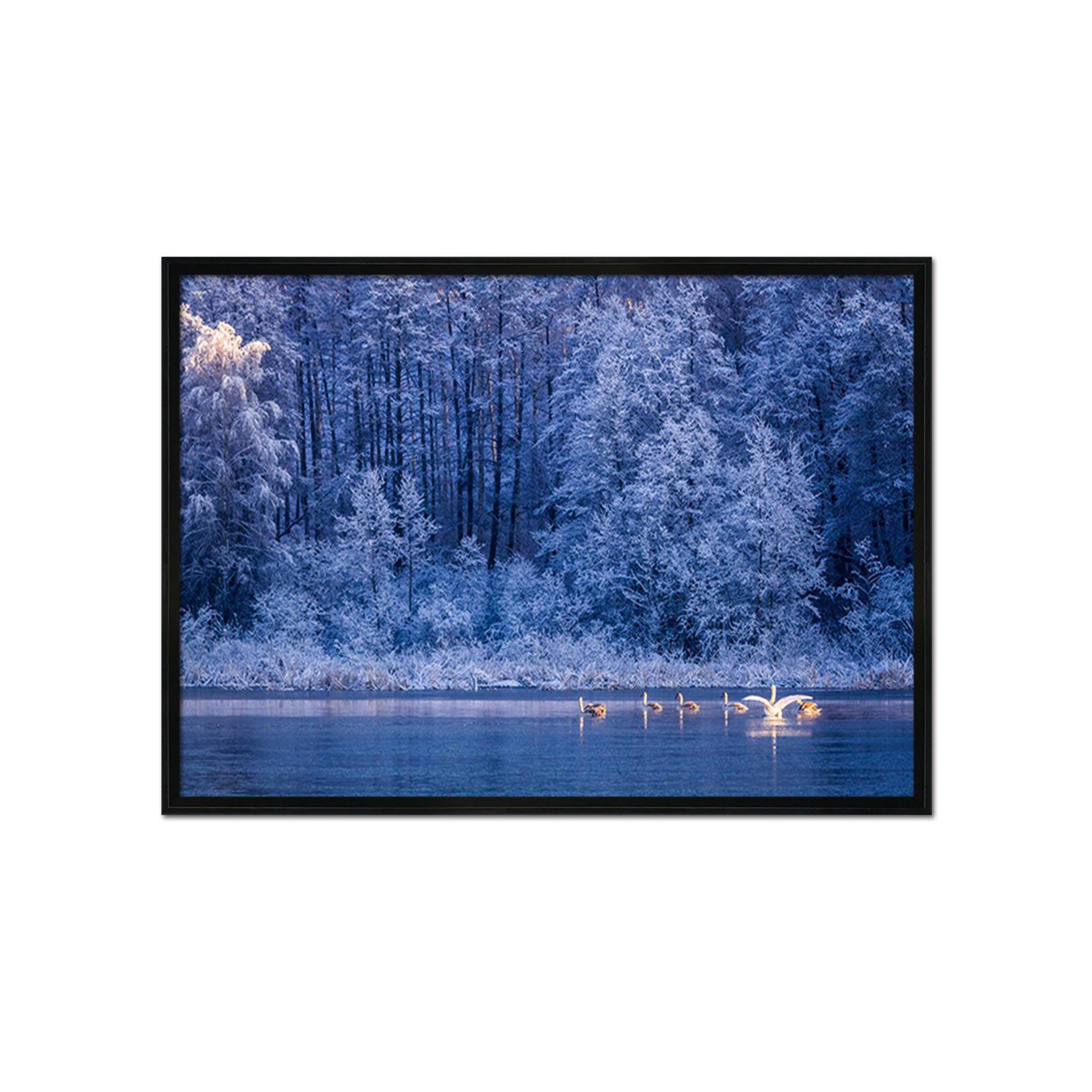 3D Swan Woods 184 Fake Framed Print Painting Wallpaper AJ Creativity Home 