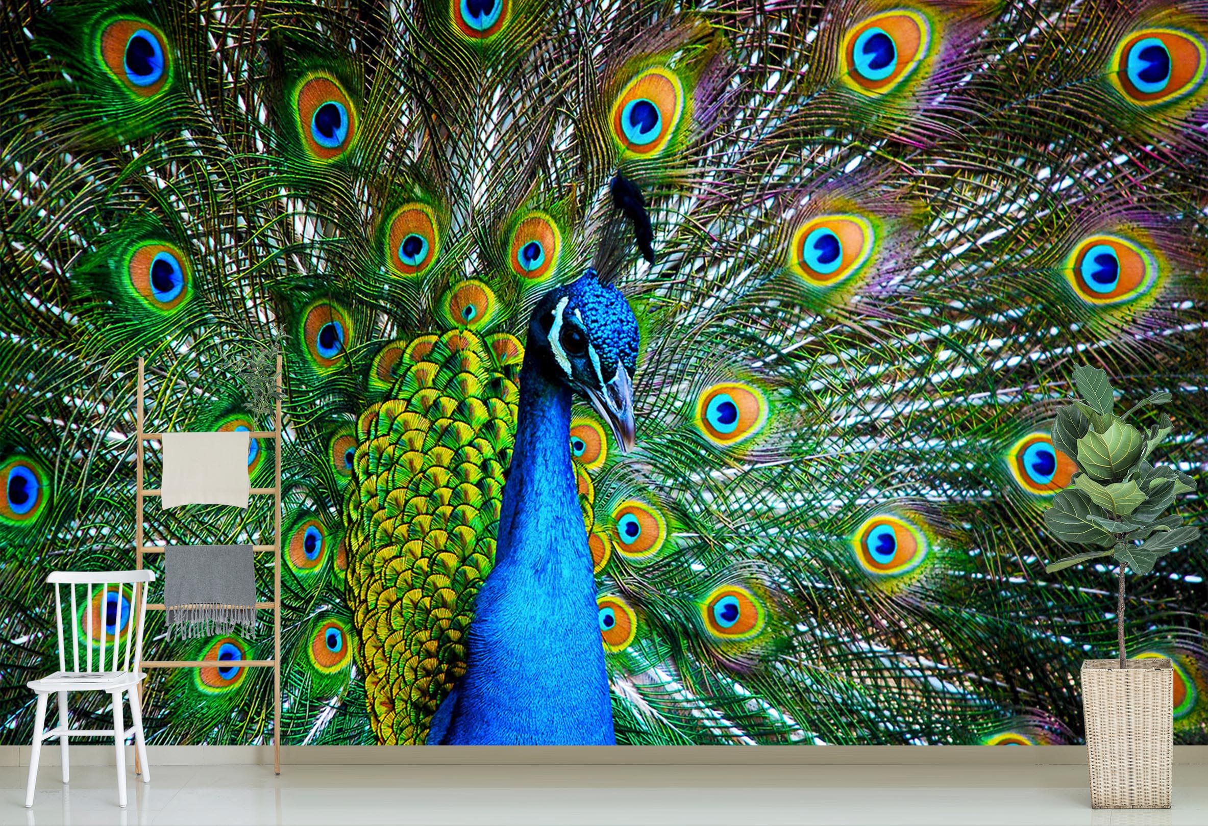 3D Peacock Opening 110 Wall Murals