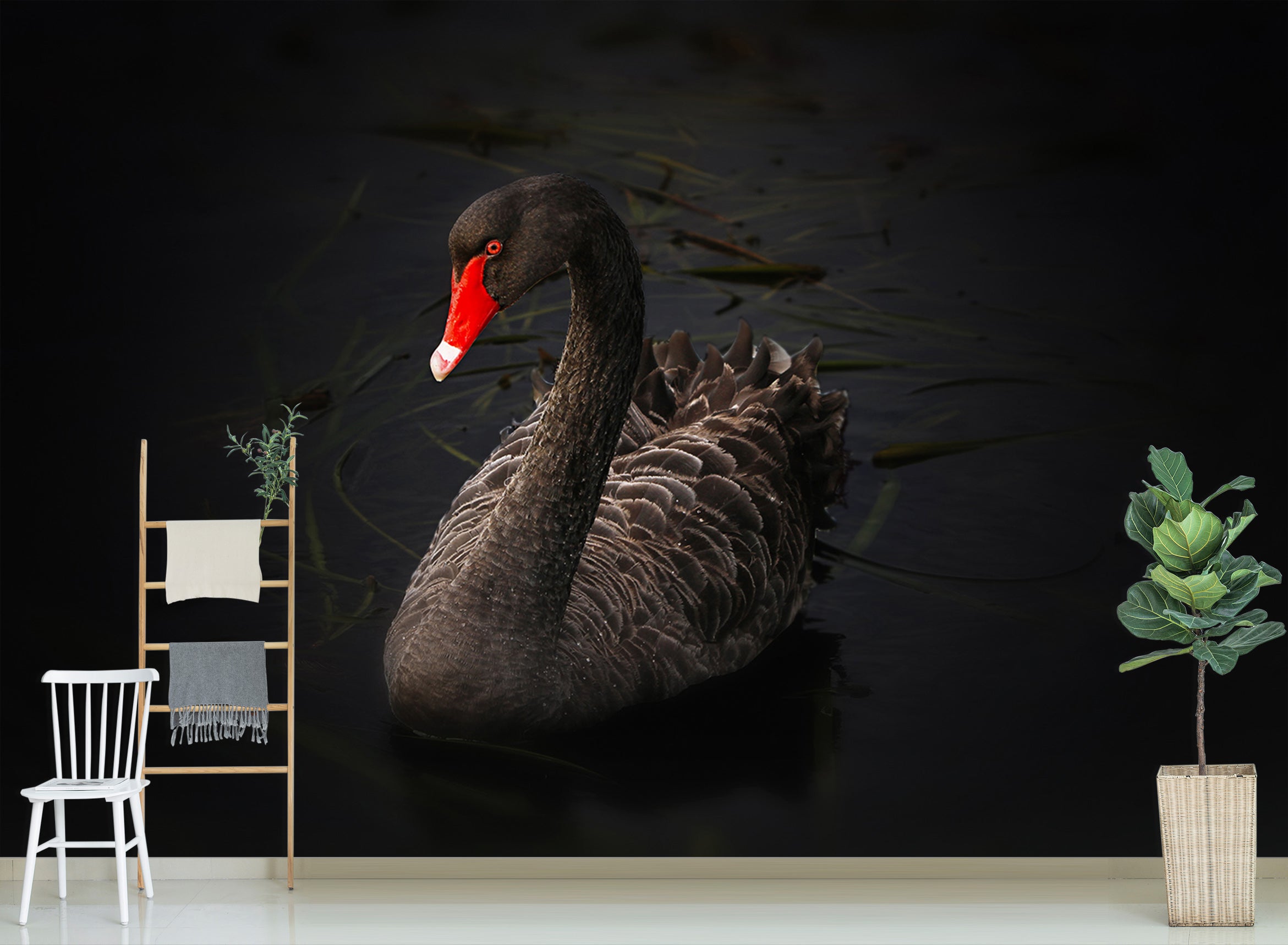 3D Black Swan 144 Wall Murals