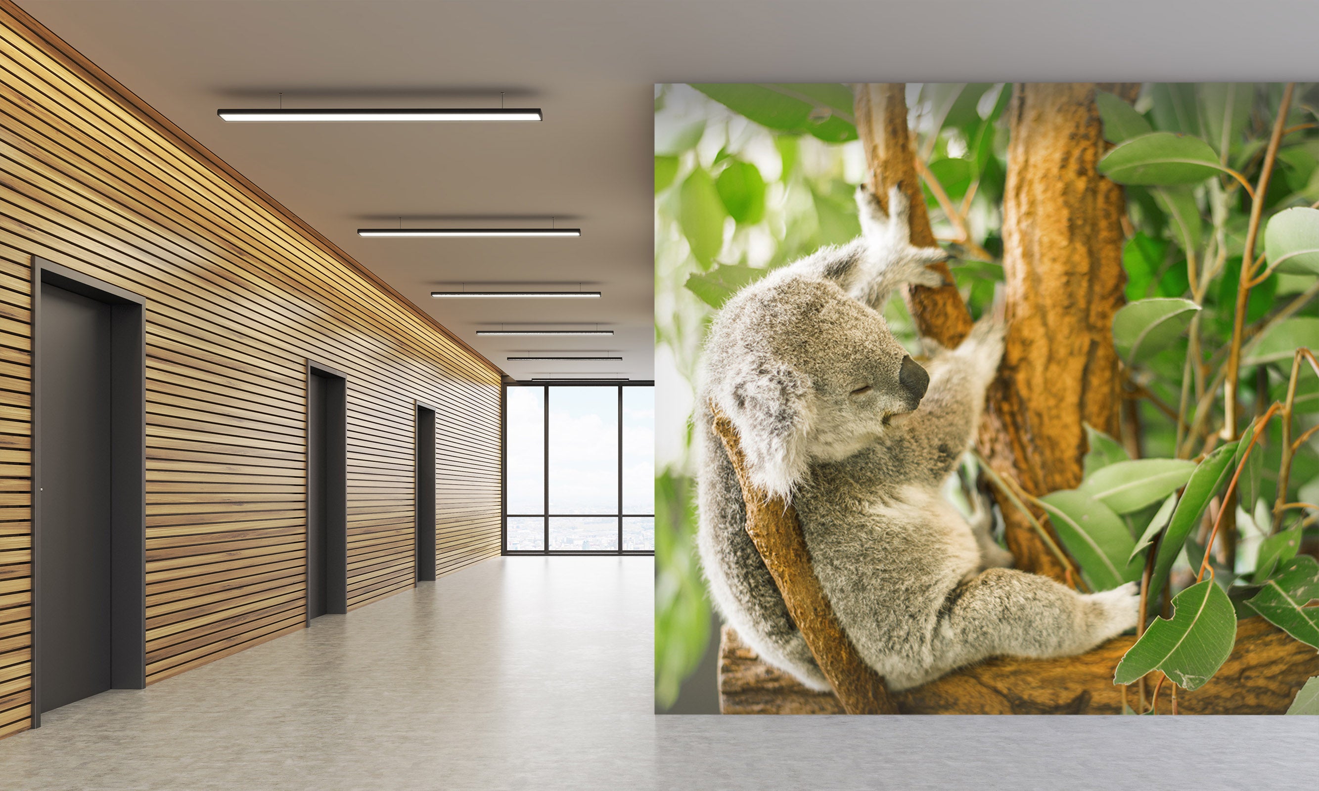 3D Cute Koala 308 Wall Murals